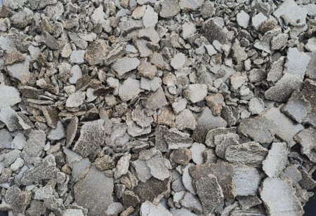 Жмых подсолнечный 20-22%