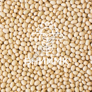 Семена сои ВНИИМК сорт