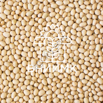 Семена сои ВНИИМК сорт