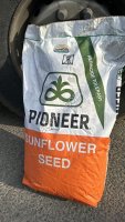 Семена подсолнечника Pioneer