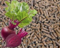 Жом свекловичный