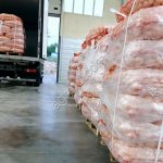 Лук репчатый очищенный