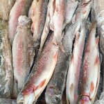 Форель радужная ПСГ 0,4+кг