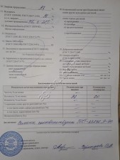 Семена лука МАНАС КАТИНКА БОНУС 2025