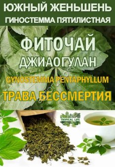 Фиточай Джиаогулан. Гинестемма пятилистная. Южный женьшень.