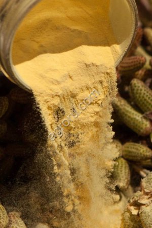 Пыльца сосны Крымской Урожай 2025г