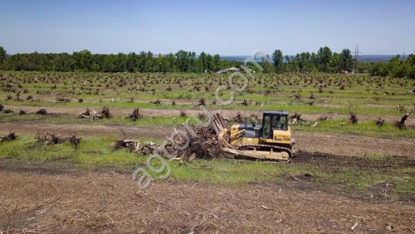 Вырубка деревьев при строительстве разных объектов