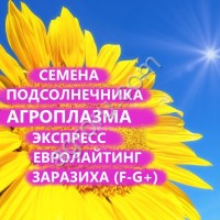 ГИБРИДЫ СЕМЕНА ПОДСОЛНЕЧНИКА СВЕТЛАНА (АГРОПЛАЗМА) (ЗАРАЗИХА F-G+)