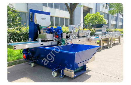 Автоматические высевные линии для высева семян хвойных деревьев в кассеты