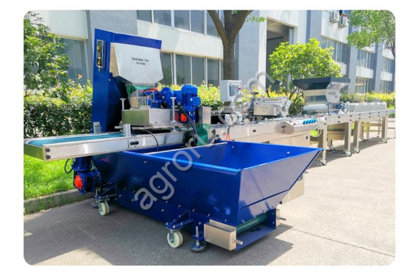 Автоматические высевные линии для высева семян хвойных деревьев в кассеты