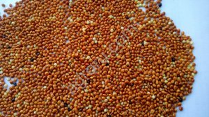 Просо ОРГАНИКА (неочищенное)