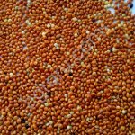 Просо ОРГАНИКА (неочищенное)