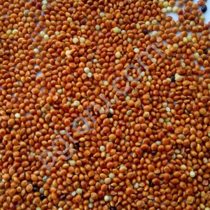 Просо ОРГАНИКА (неочищенное)