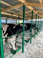 Завод по переработке молока