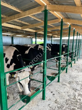 Завод по переработке молока