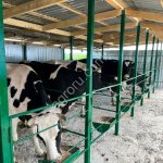 Завод по переработке молока