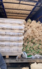 Черенки для лопат и садового инструмента оптом