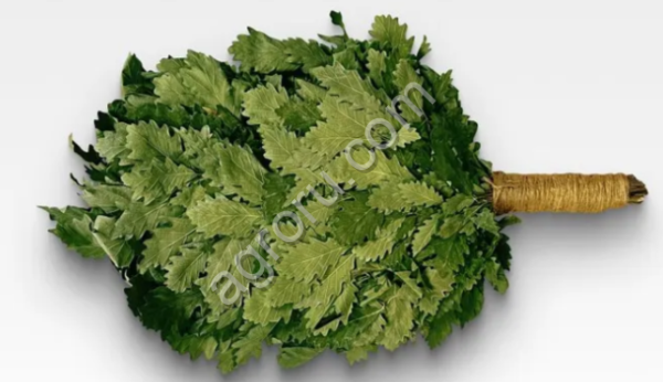 Веник банный (дуб),