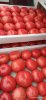 Помидоры (томаты)