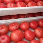 Помидоры (томаты)