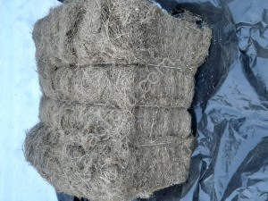 Льноволокно короткое