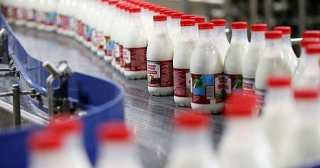 Консолидация игроков и первые скотные рынки - Краткий обзор молочной отрасли