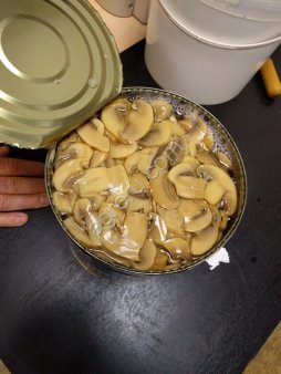 Консервация грибная