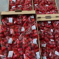 Предпродажная подготовка овощей