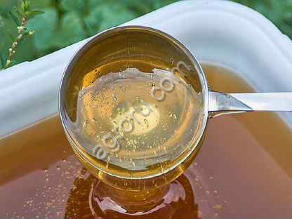 Мёд липовый
