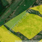 Земельные участки с/х назначения 339 га