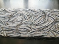 Хамса в брикете