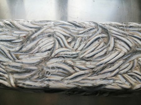 Хамса в брикете