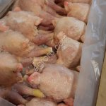 Тушка ЦБ корнишон