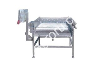 Щеточная моечная установка для фруктов