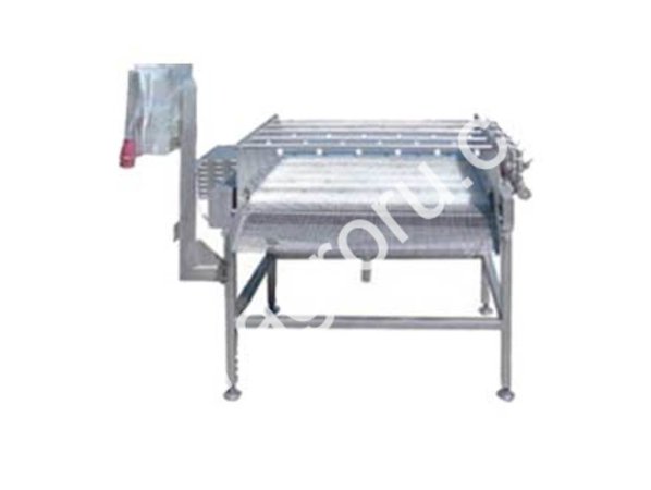 Щеточная моечная установка для фруктов