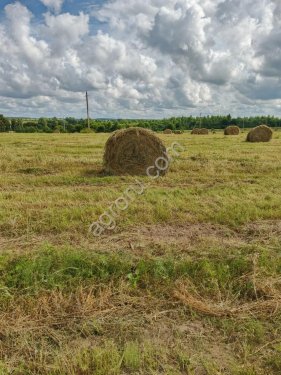 Сено луговое разнотравье в рулонах по 350 кг. Опт и розница