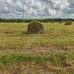 Сено луговое разнотравье в рулонах по 350 кг. Опт и розница