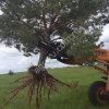 Корчеватель Крокодил усиленный для тракторов и погрузчиков