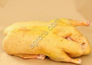 Мясо утки