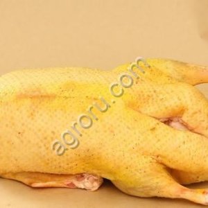 Мясо утки