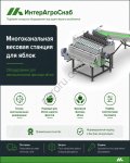 Многоканальная весовая станция SEMER для яблок