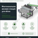 Многоканальная весовая станция SEMER для яблок