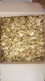 Грецкий орех и фундук