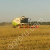 комбайн зерноуборочный Claas lexion 440