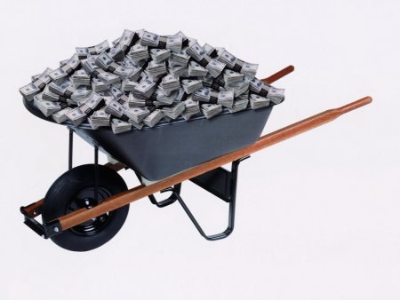 В бюджет Ульяновска поступили средства на поддержку животноводства