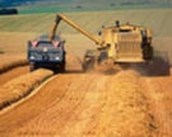 В  Запорожской области собрано 117,4 тыс. тонн зерна
