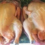 Мясо домашней птицы: Бройлерные куры, Куры, Утки, Гуси