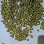 Чечевица зеленая