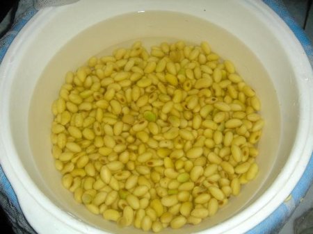 Украина: аграрии Тернопольской области завершили сбор сои