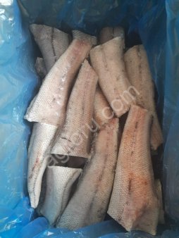 Макрурус тушка с/м IQF